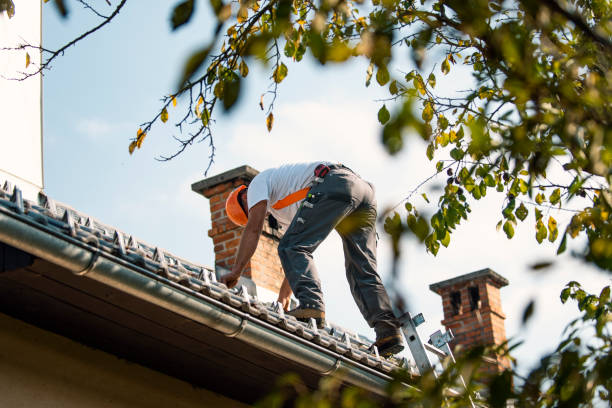 Best Commercial Roofing Services  in Winnfield, LA